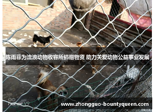 陈雨菲为流浪动物收容所捐赠物资 助力关爱动物公益事业发展